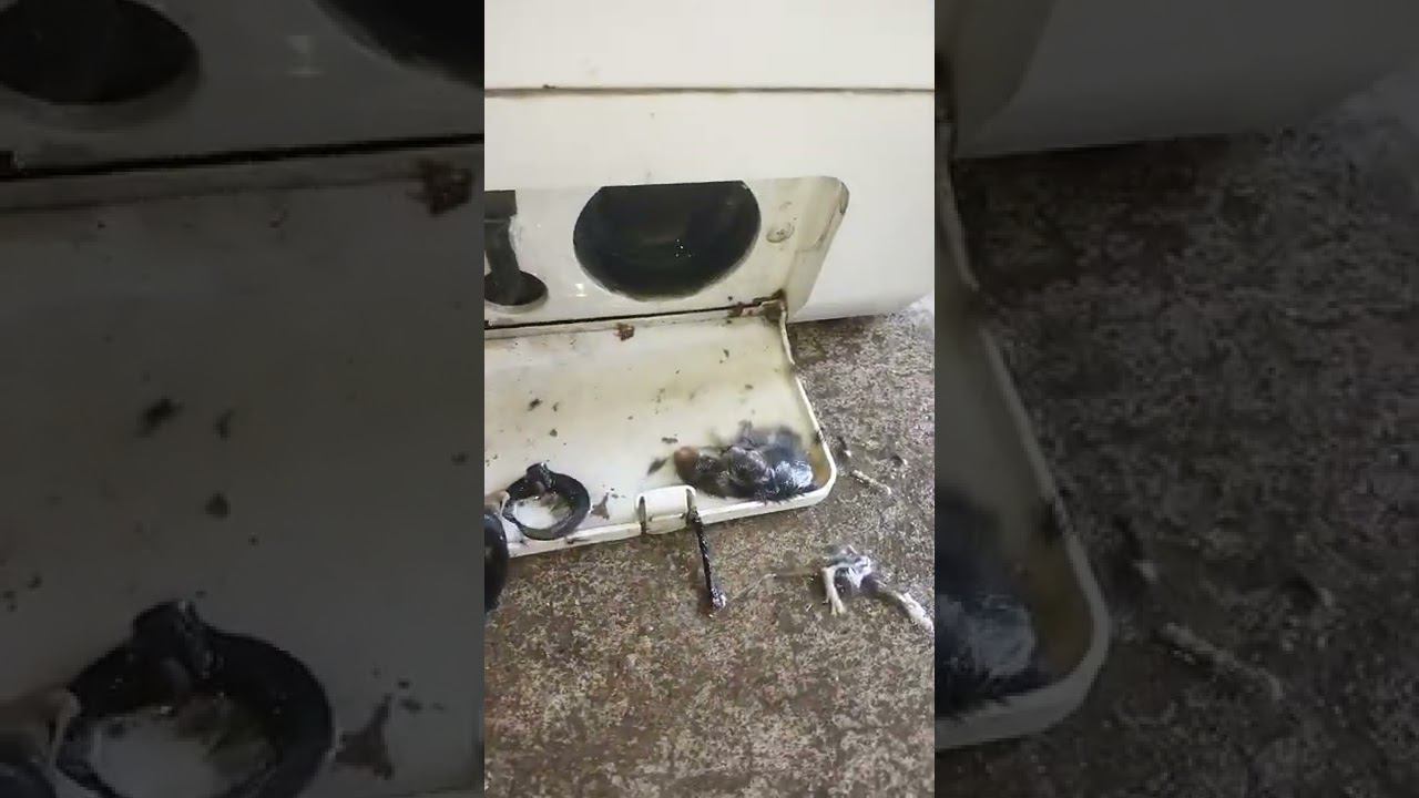 продолжаем находить сюрпризы в стиралках смотреть онлайн