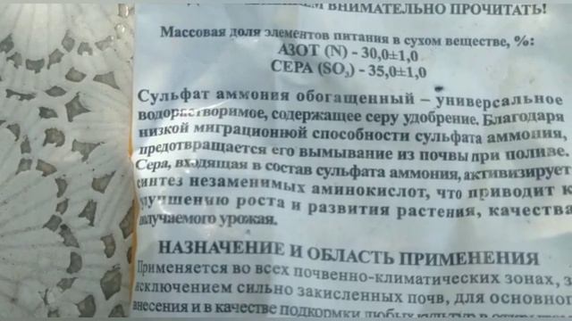 У чеснока желтеют кончики листьев. Поможет сульфат аммония ? смотреть онлайн