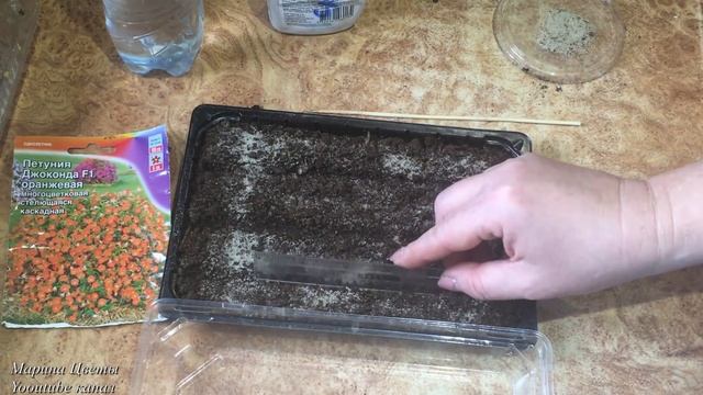 СЕКРЕТЫ УСПЕХА! Посев петунии на грунт, в таблетки. Особенности. смотреть онлайн