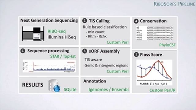 Gerben Menschaert: Multi-Omics Integration: Ribosome Profiling Applications смотреть онлайн