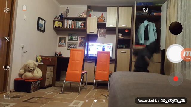 Воры в квартире (the and)