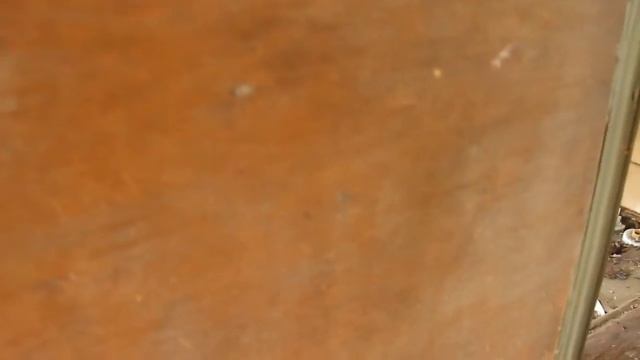 Забытая Россия. Заброшенные дома в пионерском лагере "Орлёнок" в деревне Льзи смотреть онлайн