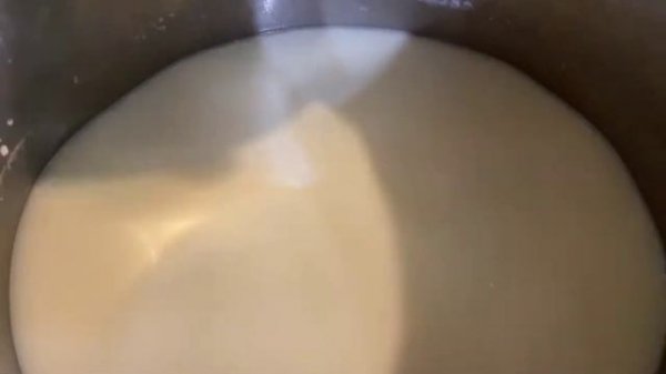 Сыр Примо сале- молодой сыр с добавками и без))))