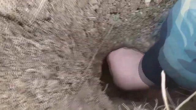 КЛАД СЕРЕБРЯНЫХ МОНЕТ РЕЧИ ПОСПОЛИТОЙ 2019/Приборный Поиск с Владиславом смотреть онлайн