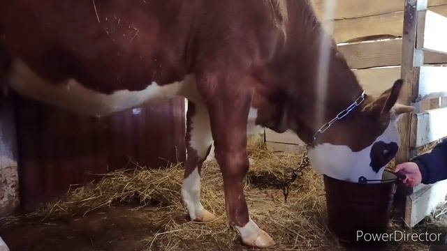 Тянула до последнего пришлось идти самой? смотреть онлайн