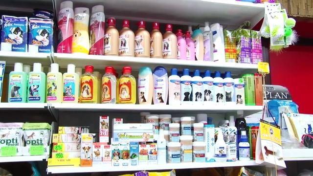 Утренний эфир / Уход за собакой