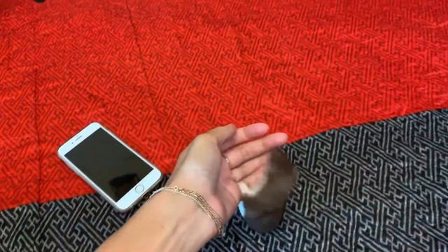 Ласка (игрища) 3 смотреть онлайн