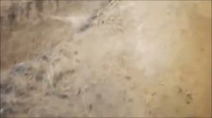 Раскопки стоянки неандертальцев Сухая Мечетка комплексной экспедицией в Волгограде осенью 2021 года