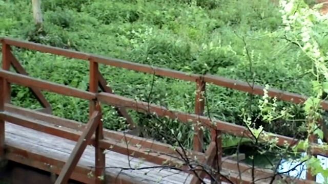 Покровский Хотьков женский монастырь. смотреть онлайн
