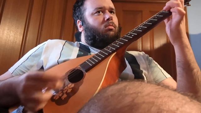 Banish Misfortune - Irish Bouzouki смотреть онлайн