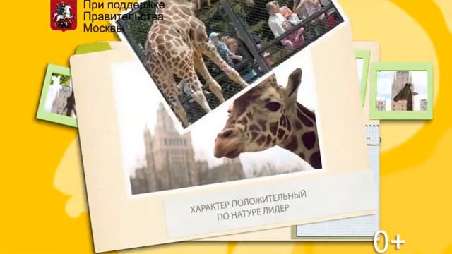 Мы помним вас маленькими! Московскому Зоопарку 150 лет. (жираф Самсон) смотреть онлайн