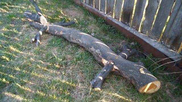 сказочная скамейка игрушка для детей смотреть онлайн