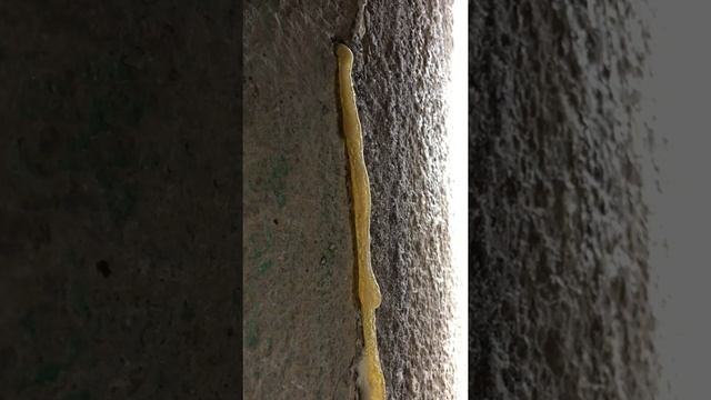 Маопур 15 инъектирование протечки в бетоне