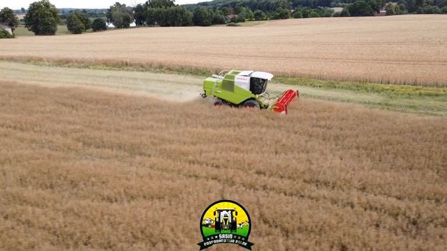 ✩ ?? Usługowe koszenie rzepaku z GR/UR SASIN ?? ✩ CLAAS/NEWHOLLAND/CASE/VALTRA ✩ смотреть онлайн