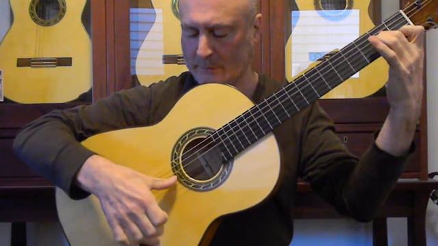 Demonstration of flamenco guitar for sale February 22 2015