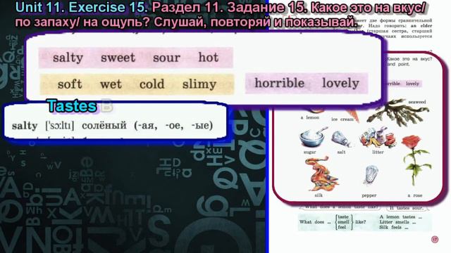 15 задание. 11 раздел 4 класс учебник Вербицкая Английский смотреть онлайн