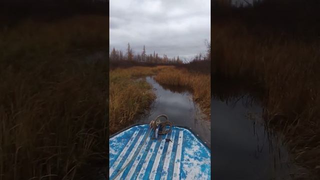 лодка Ока 4 мотор ямаха 30 2т смотреть онлайн