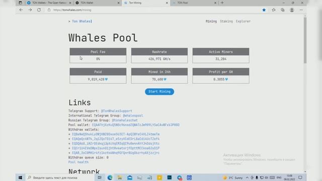 Как создать кошелек Ton Coin ?