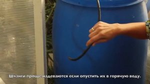 Система автоматического капельного полива "Синьор Помидор" на солнечной батарее