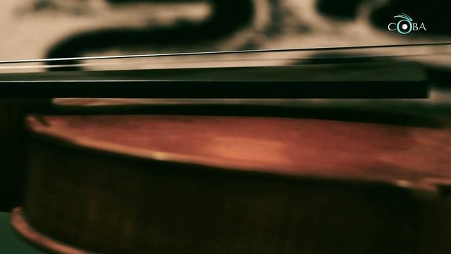 Музыка: естественный отбор смотреть онлайн