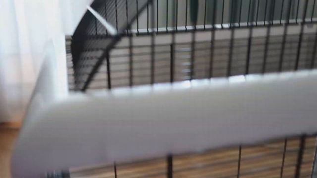 ОБЗОР КЛЕТКИ FERPLAST PALLADIO 3 DECOR | ОБЗОР КЛЕТКИ ДЛЯ ВОЛНИСТОГО ПОПУГАЯ | Aoi Inko смотреть онлайн