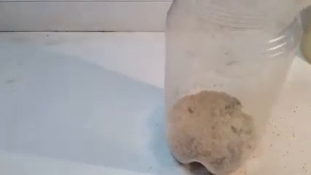 Ч8 как сделать ферму мух смотреть онлайн