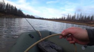 Огромная щука на спиннинг 14 кг! Monster pike fishing. DF 32