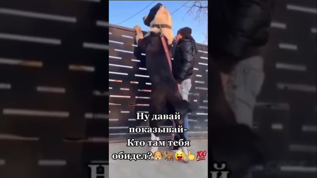 Кто тебя обидел?