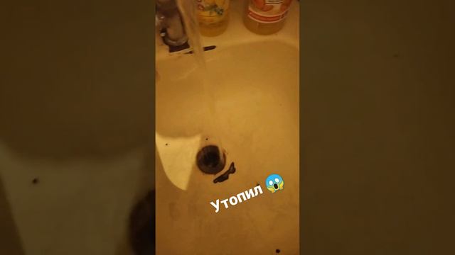 помылся аегис хиро 2 #vape смотреть онлайн