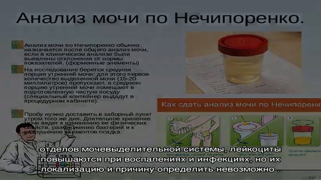 Анализ мочи по Нечипоренко смотреть онлайн