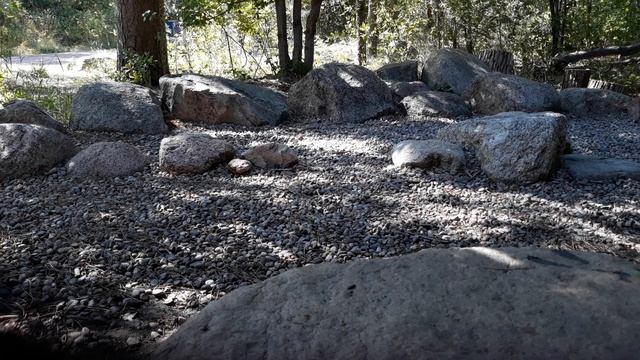 Роль стресса в развитии рака. смотреть онлайн