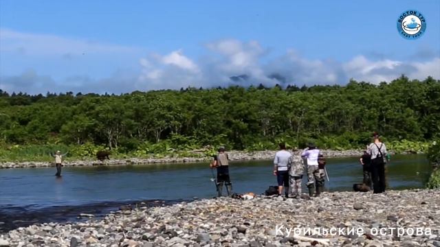 Многогранная Kamchatka смотреть онлайн