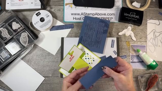 Kelly Acheson 11.5.23