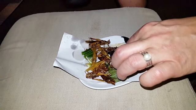 Еда в Тайланде ))) Скорпионы и саранча под пивко. смотреть онлайн