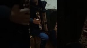 Талантливый баянист Ильшат Зиятдинов.