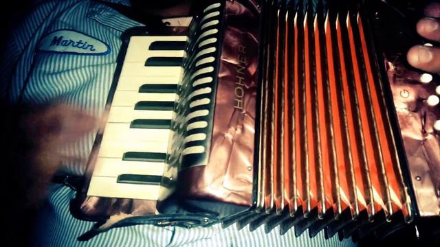 Tragos De Amargo Licor 🥃 | Tutorial |Mini Acordeon de Juguete Piano | Hohner Mignon смотреть онлайн