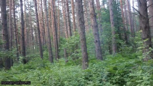 Близ Набережных Челнов смотреть онлайн
