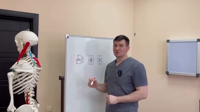 Позвоночник растягивается на 5 см в час если это упражнение делаешь смотреть онлайн