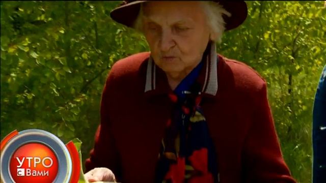 Собираем целебные травы - "Утро с Вами" 07.06.2013 смотреть онлайн