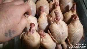 Забой перепелов,, ЛОЖКА для потрошение, крупный феникс