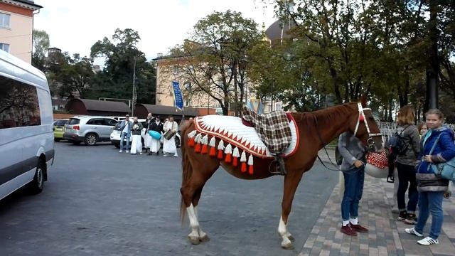 Харинама, 21.09.2019, Мариуполь (2 эп.) Участники Харе Кришна Флешмоба. Дети кормят голубей. смотреть онлайн