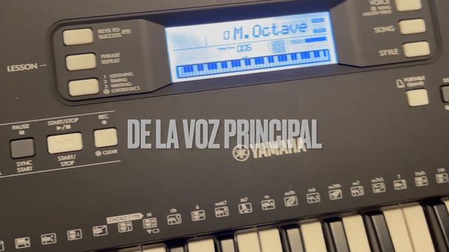 POR QUE AMO EL YAMAHA EW310 FUNCIONES AVANZADA EN UN PIANO PARA PRINCIPIANTES смотреть онлайн