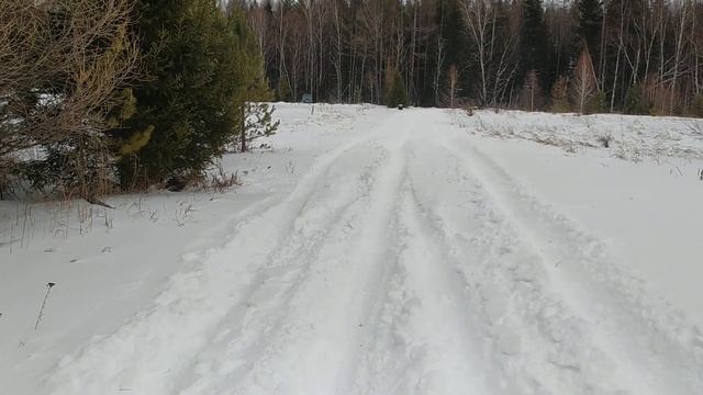 Пробиваем дорогу к роднику. смотреть онлайн