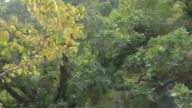 Пробежка в горах Мысхако ( Новороссийск / Черное море ) смотреть онлайн