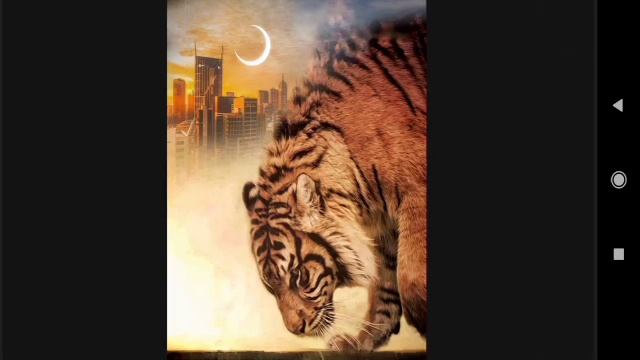 picsart - Tiger photo editing ll animals lover photo editing M. J. S Editor смотреть онлайн
