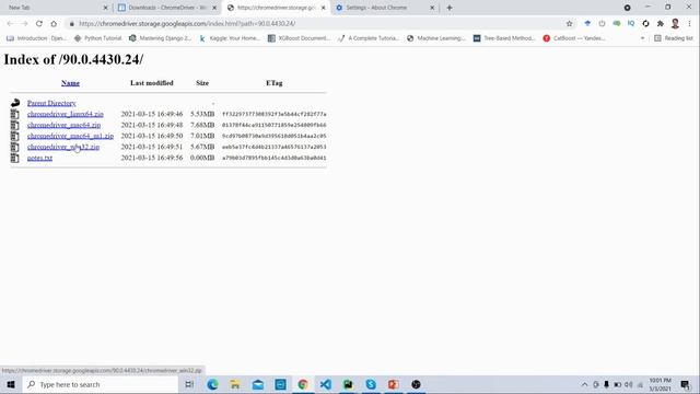 Selenium in Bangla part (01) Download and Install Selenium In Python for Windows смотреть онлайн