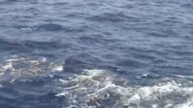 Коста Рика Рыбалка на Тихом океане Дорада смотреть онлайн