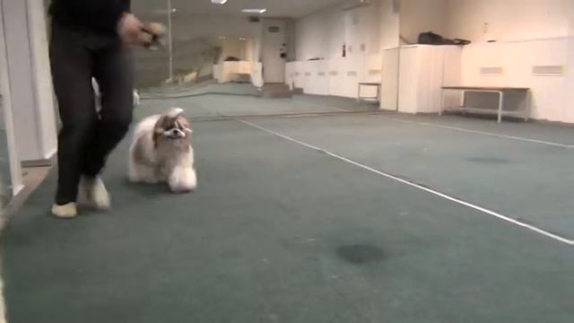 M2U00738 смотреть онлайн