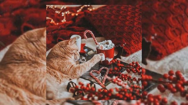 All I Want For Christmas Is You (Mariah Carey)//Speed Up Song🎄 смотреть онлайн
