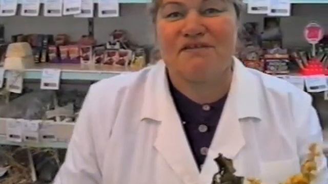 День автомобилиста (от 23.10.1996) смотреть онлайн